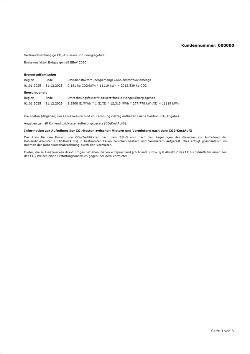 Musterrechnung Gas Seite 3