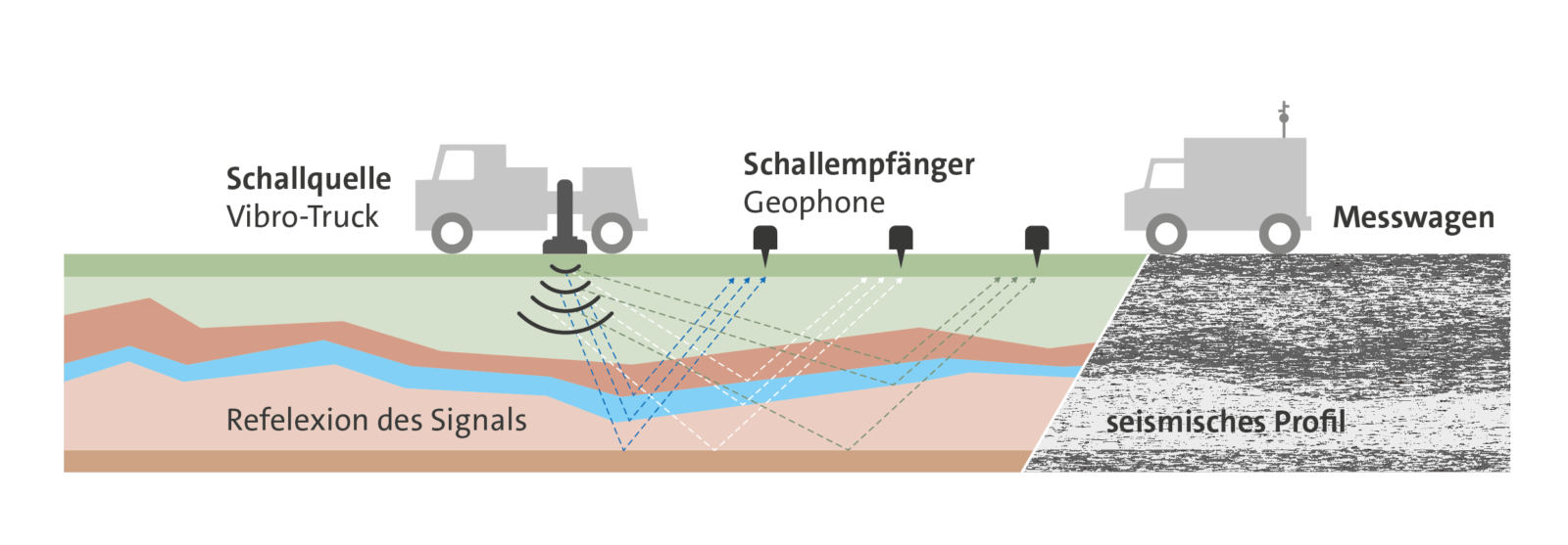 Schema einer Seismik-Messung